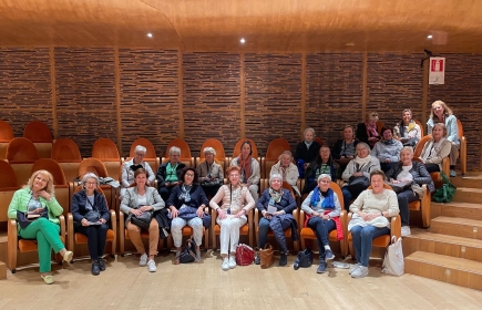 Auditorium «Museo del Violino» in Cremona